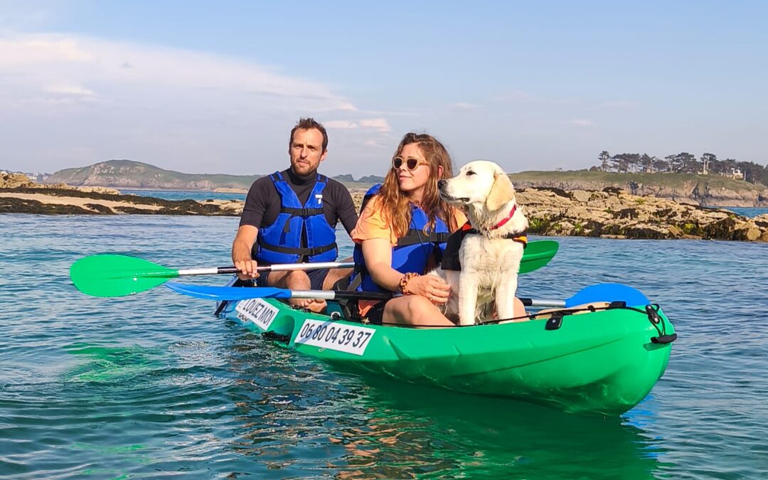 Que faire avec son chien sur la Côte d’Emeraude ?