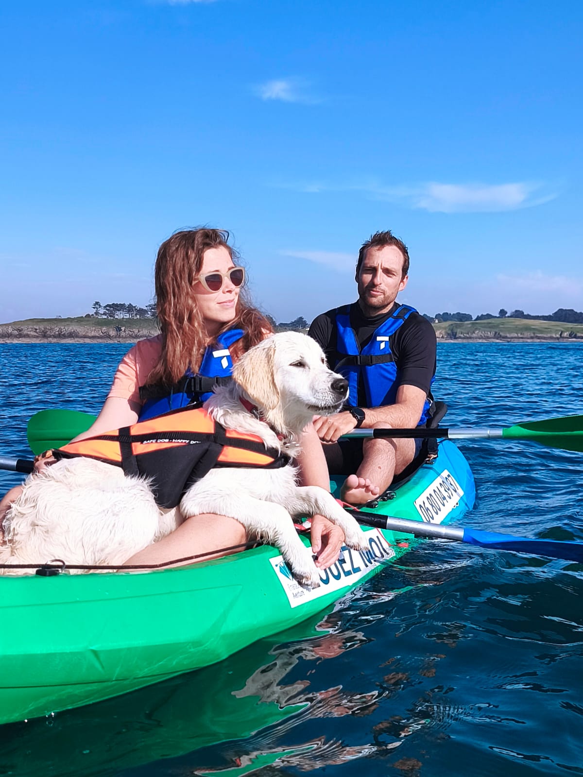 Kayak chien